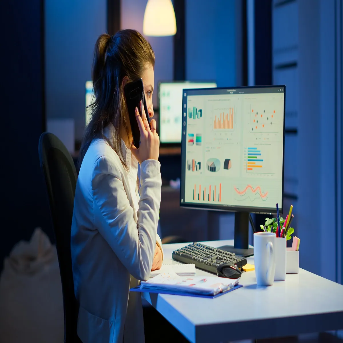 Fraud and Risk Analyst