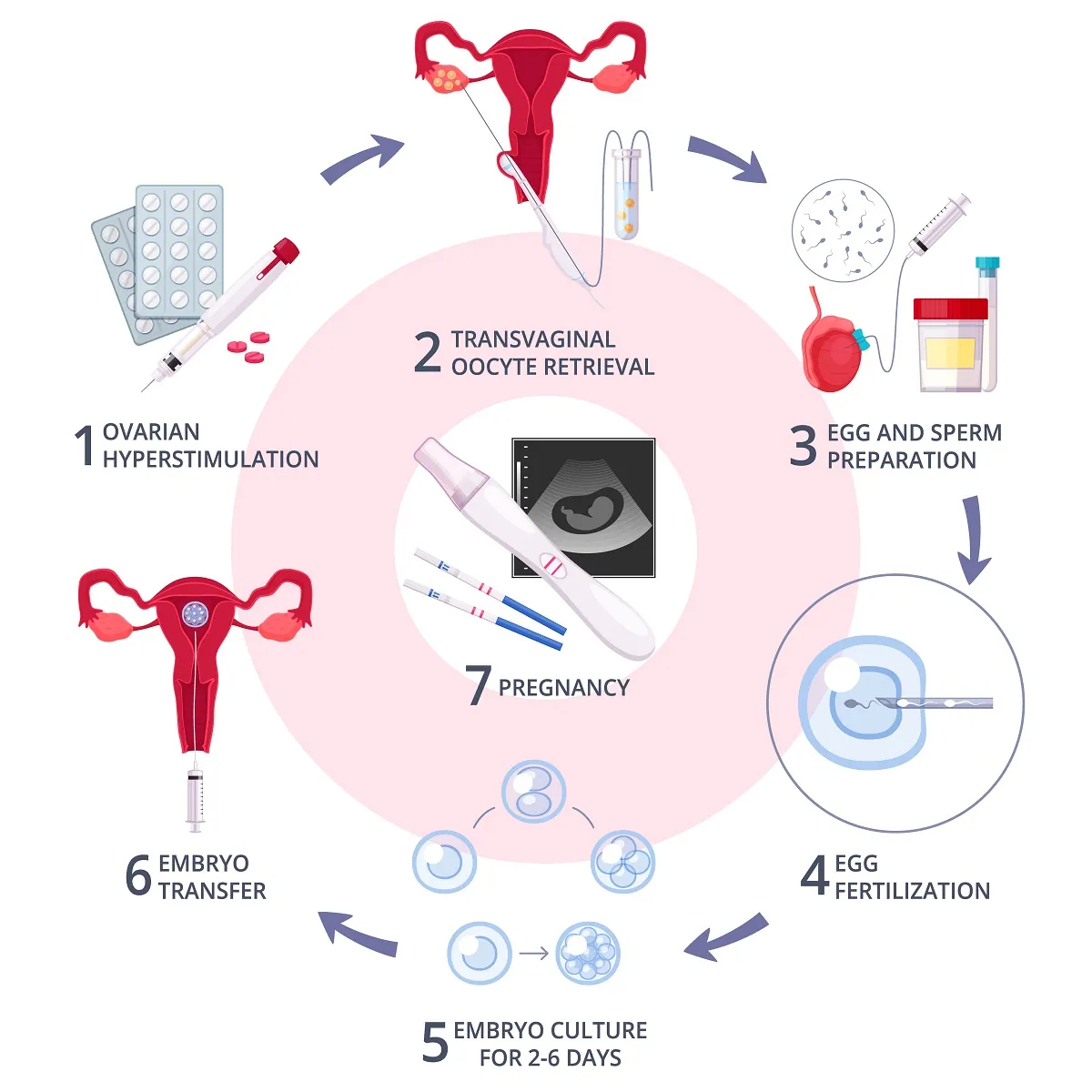 How to Start an Artificial Insemination Job A Step-by-Step Career Guide